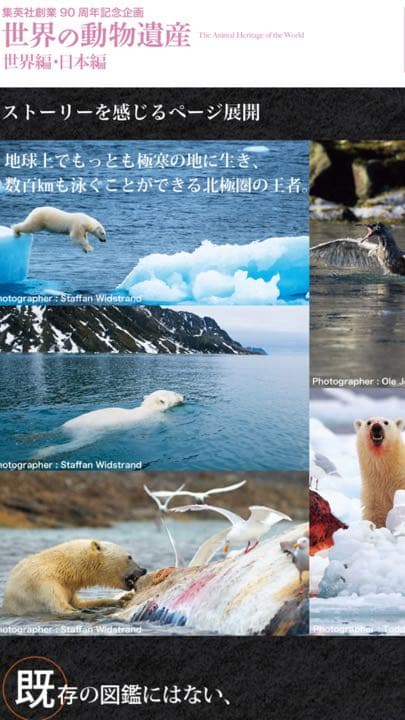 【新品】世界の動物遺産 〜集英社 創業９０周年記念企画〜