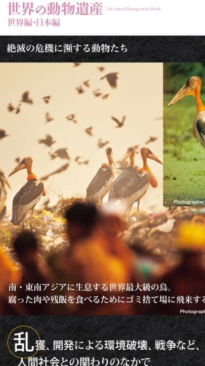 【新品】世界の動物遺産 〜集英社 創業９０周年記念企画〜