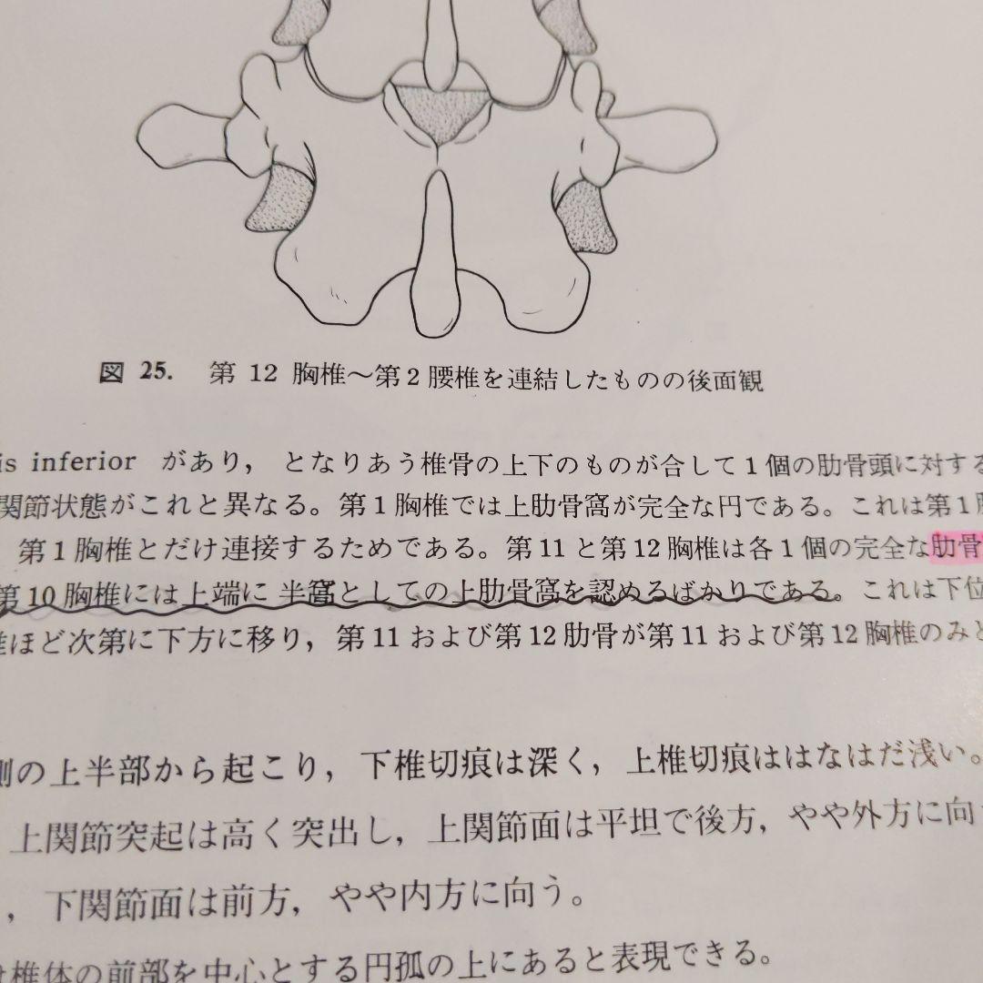 お値下げ！分担　解剖学123　３冊セット　医学本　専門書