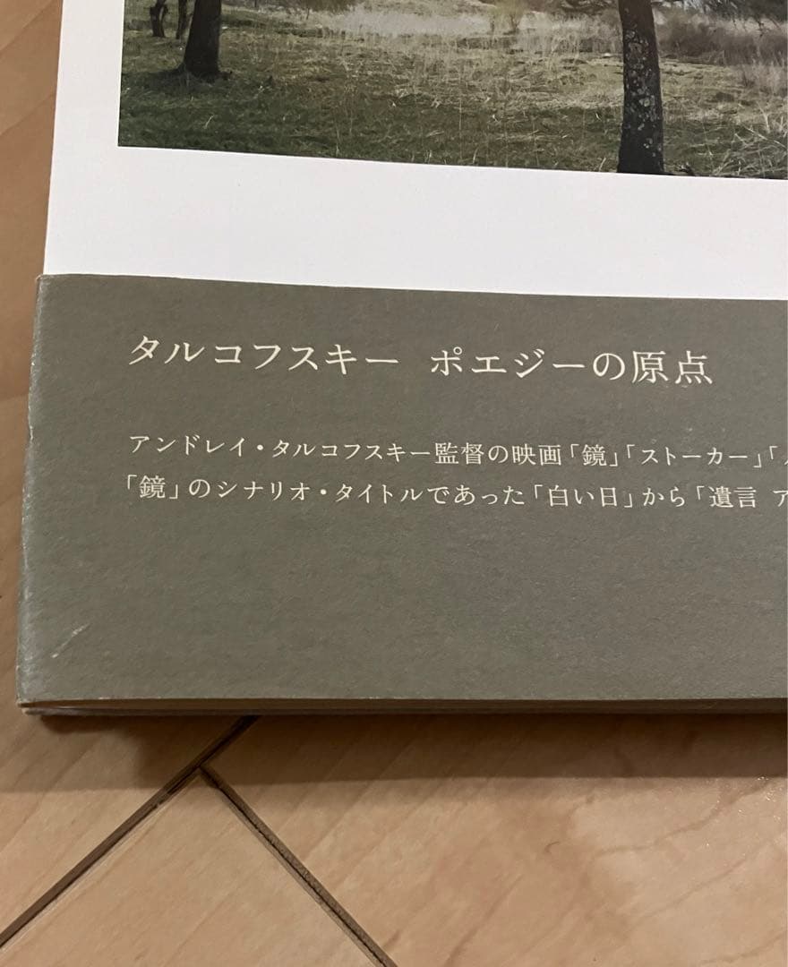白い、白い日 アルセーニイ・タルコフスキー詩集 初版 静かでやさしい時間