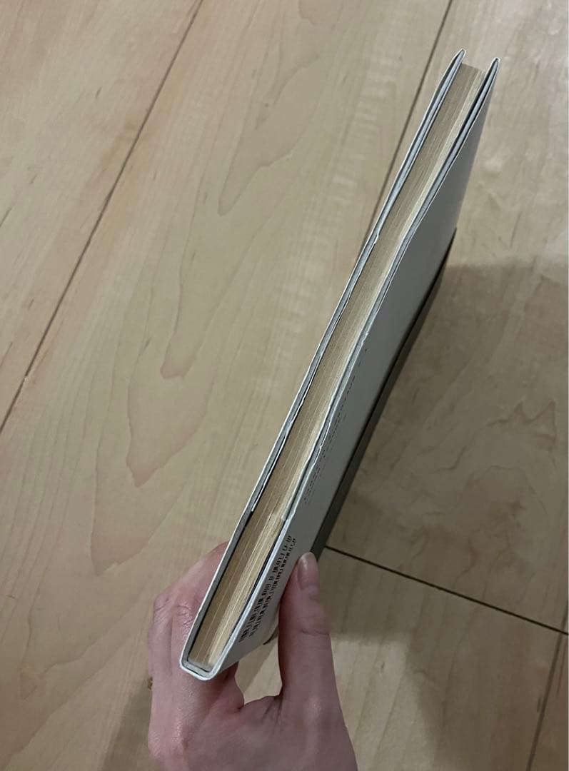 白い、白い日 アルセーニイ・タルコフスキー詩集 初版 静かでやさしい時間