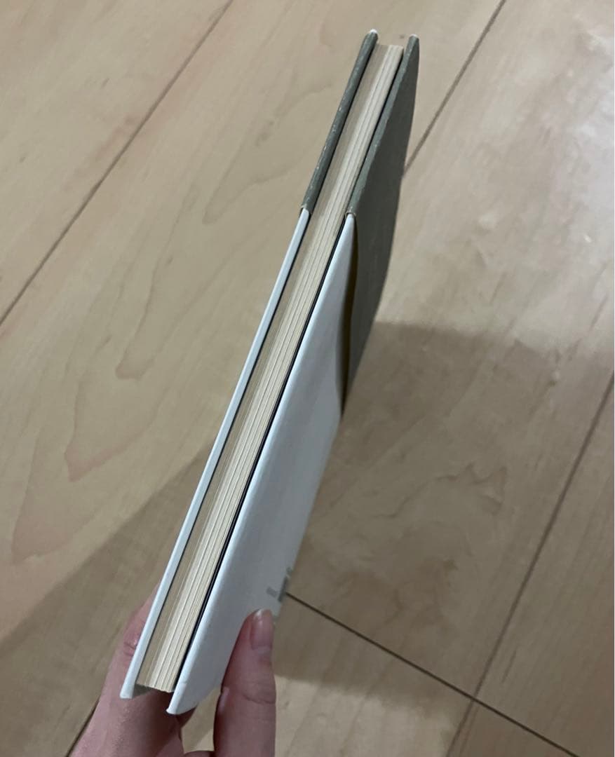 白い、白い日 アルセーニイ・タルコフスキー詩集 初版 静かでやさしい時間