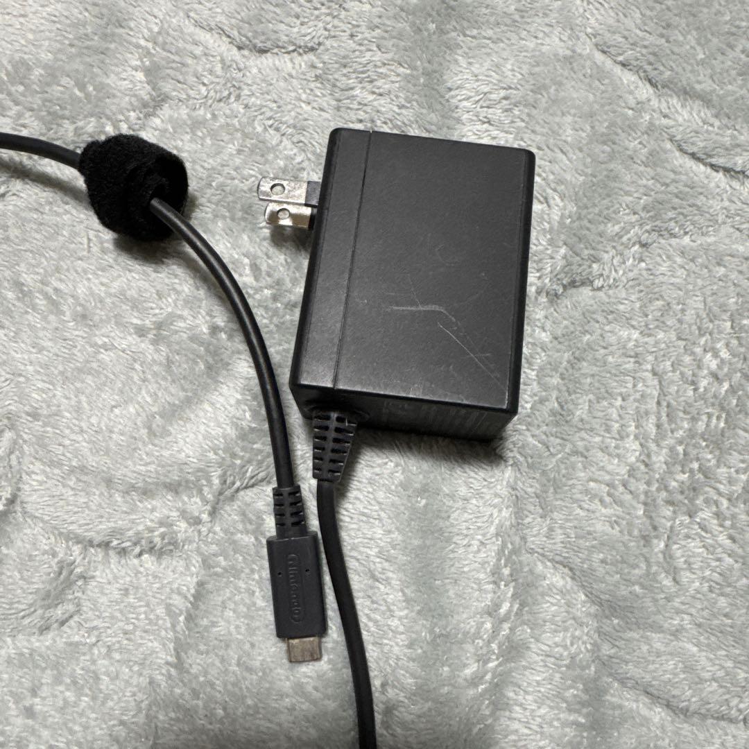 ケース＆SDカード＆充電器　付きNintendo Switch Lite 本体