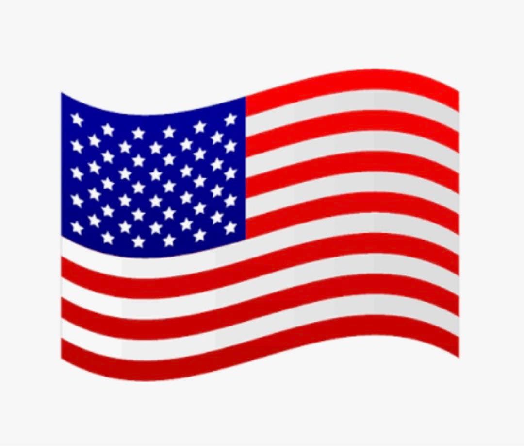 Psycho Bunny TECNO ART セルフスタンド バッグ