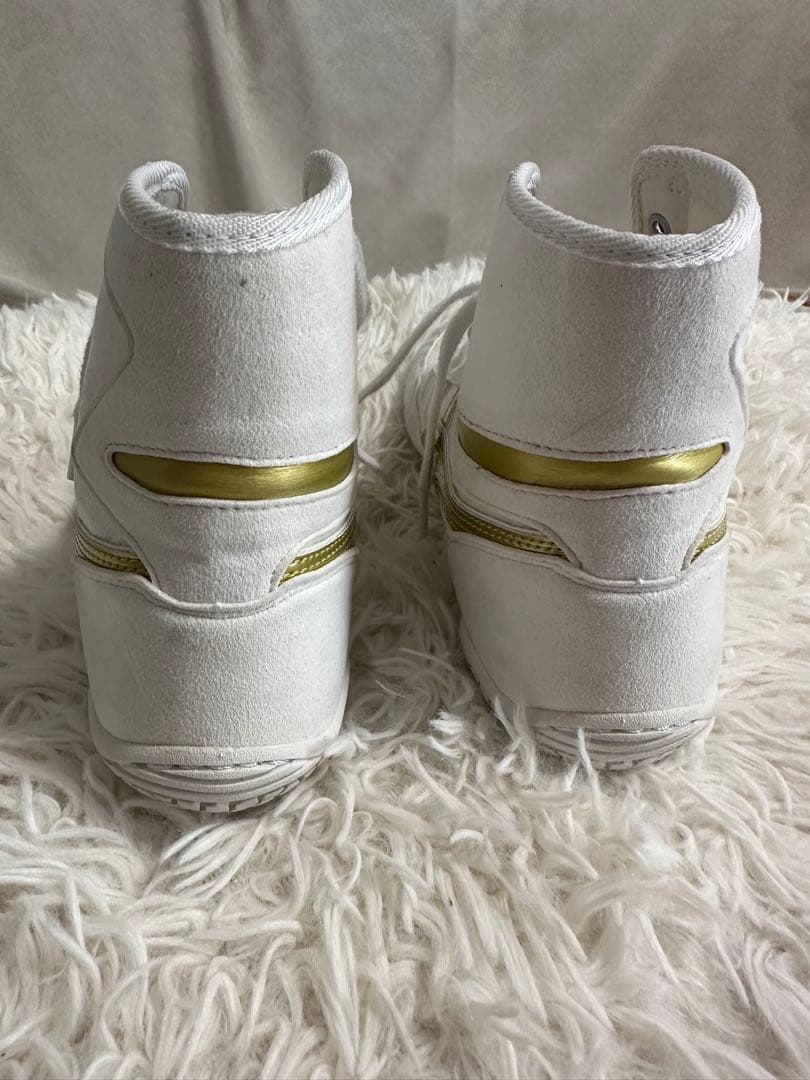 ASICS レスリング・ボクシングシューズ | 25.0 cm