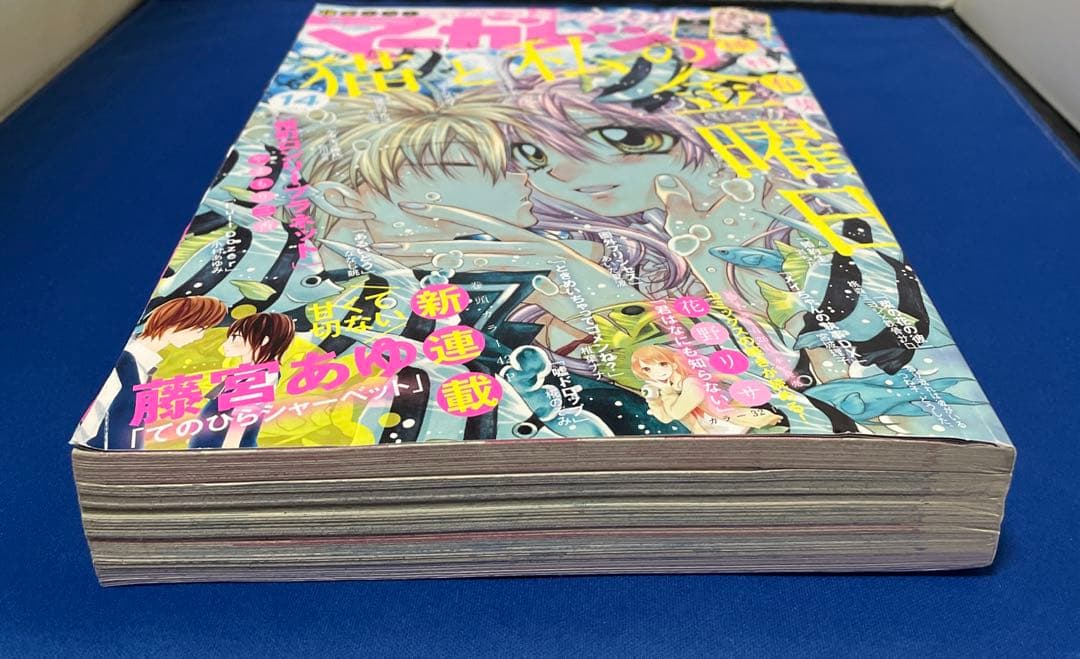 マーガレット2015年14号 猫と私の金曜日きせかえコミックスカバー付き