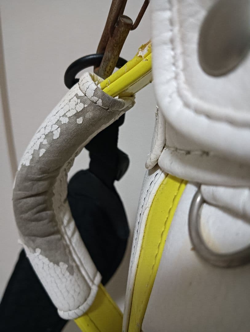 Titleist キャディバッグ ホワイト/イエロー