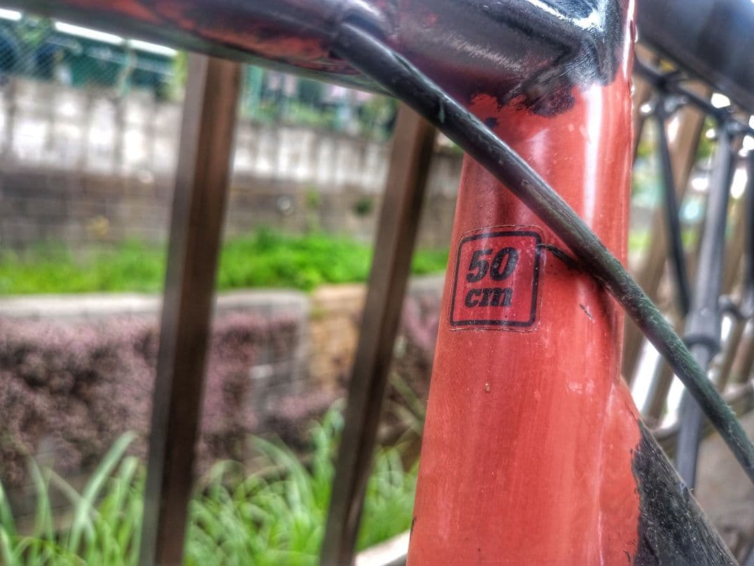 TERN SURGE ミニベロロード　アサヒ購入　中古自転車　スポーツ　ドロップ