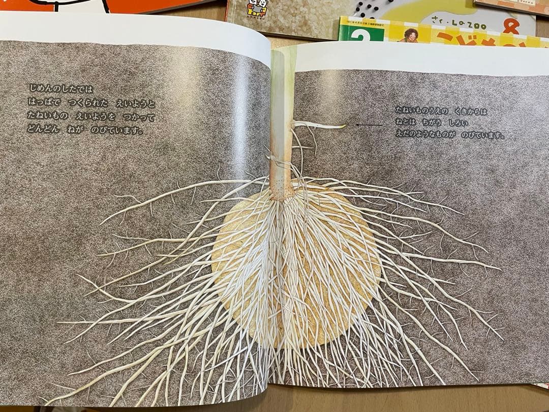 こどものとも　かがくのとも他　カレーライス　カレーがだいすき　かいものづくし他