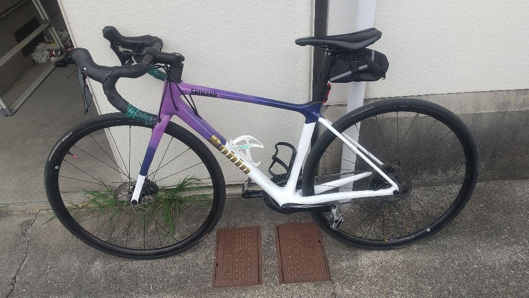 GIANT TCR advanced 崩壊スターレイル ロビン