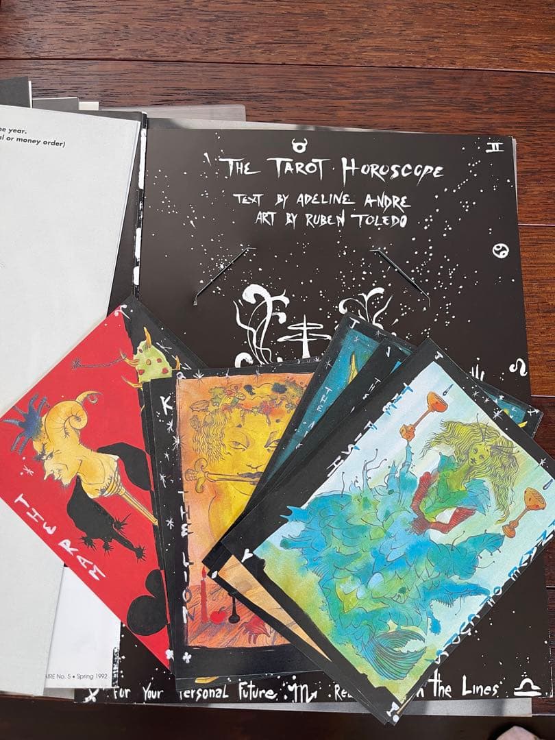 アート・デザイン・音楽 VISIONAIRE No.5 THE FUTURE 1992