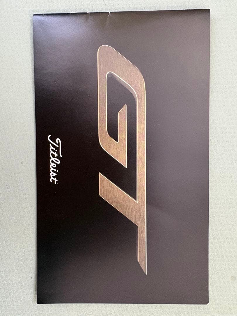 高反発加工⭐️タイトリスト　GT2 D 10度　ヘッド単品