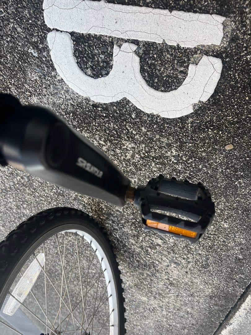 【直接引き取り希望】ルイガノ　22インチ　子供用自転車 青