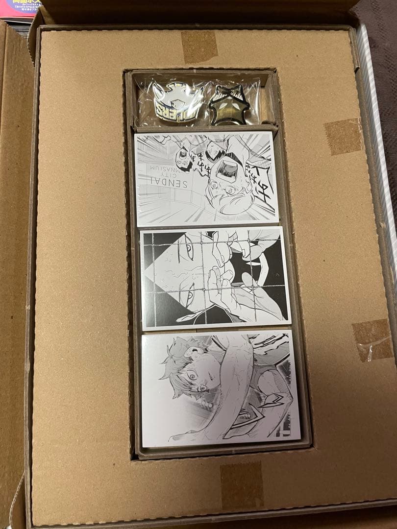 ハイキュー全巻 大判画集 10thクロニクルグッズ付き同梱版 その他グッズ