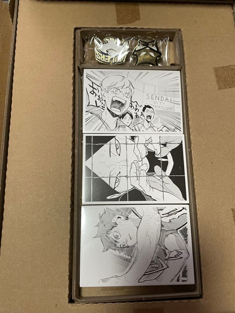 ハイキュー全巻 大判画集 10thクロニクルグッズ付き同梱版 その他グッズ