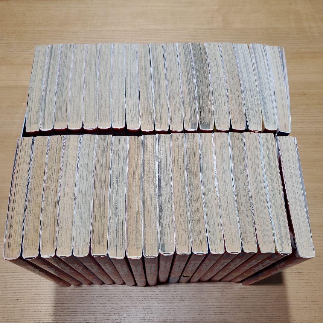 RAVE 全巻セット 1-35巻+ガイドブック