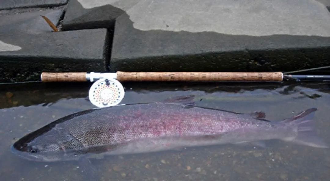 リアルミノー11個完成品&製作マテリアル多数‼️