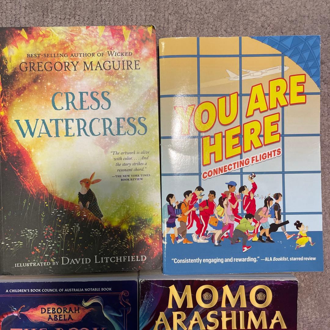 洋書　学校図書推薦　12冊セット売り