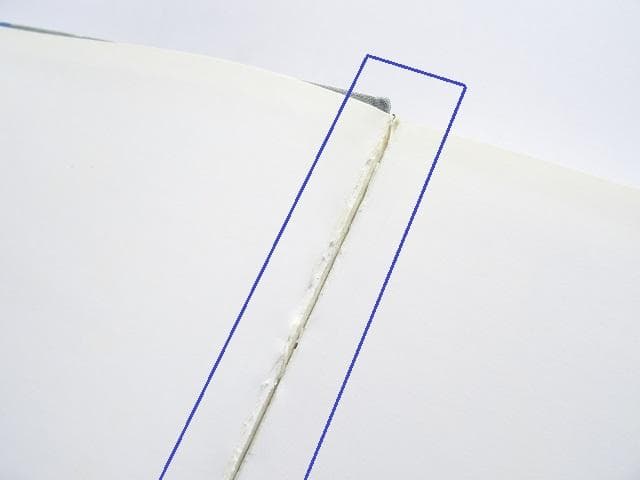 洋書◆デルブレ彫刻作品写真集 本 工芸 造形作家