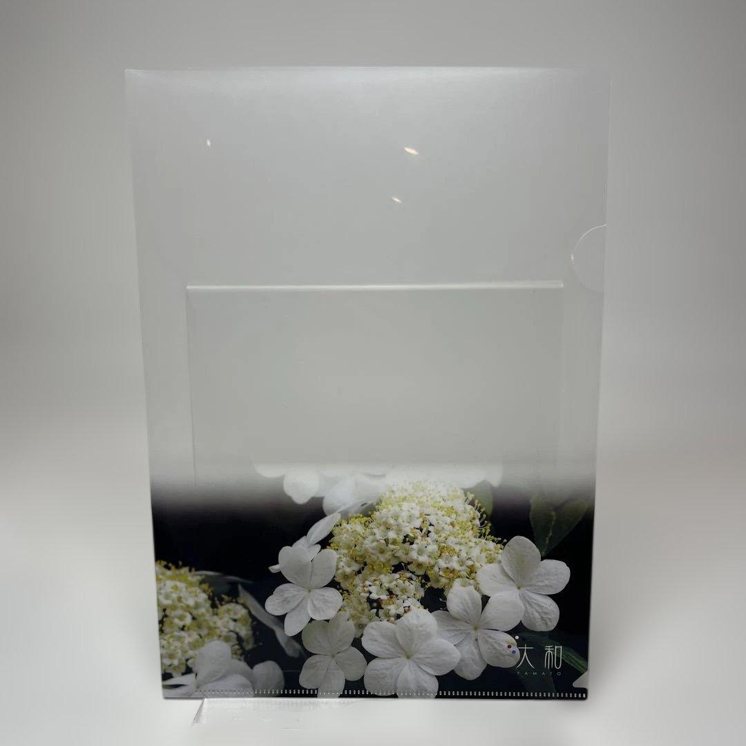 金運革命セミナー DVD 清水義久　金運カード・講義録・金運革命・ファイル付き