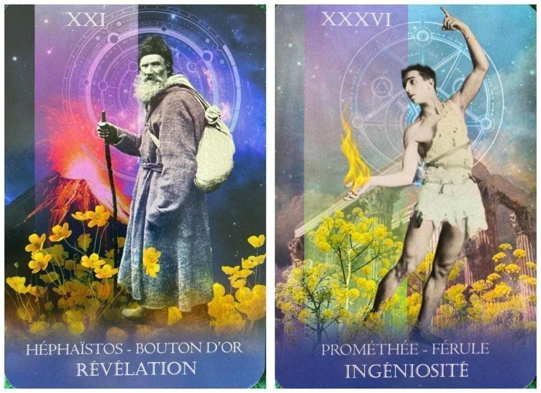 【正規品オラクルカード】フランス発の華麗な神々と植物のコラージュデッキ／金縁