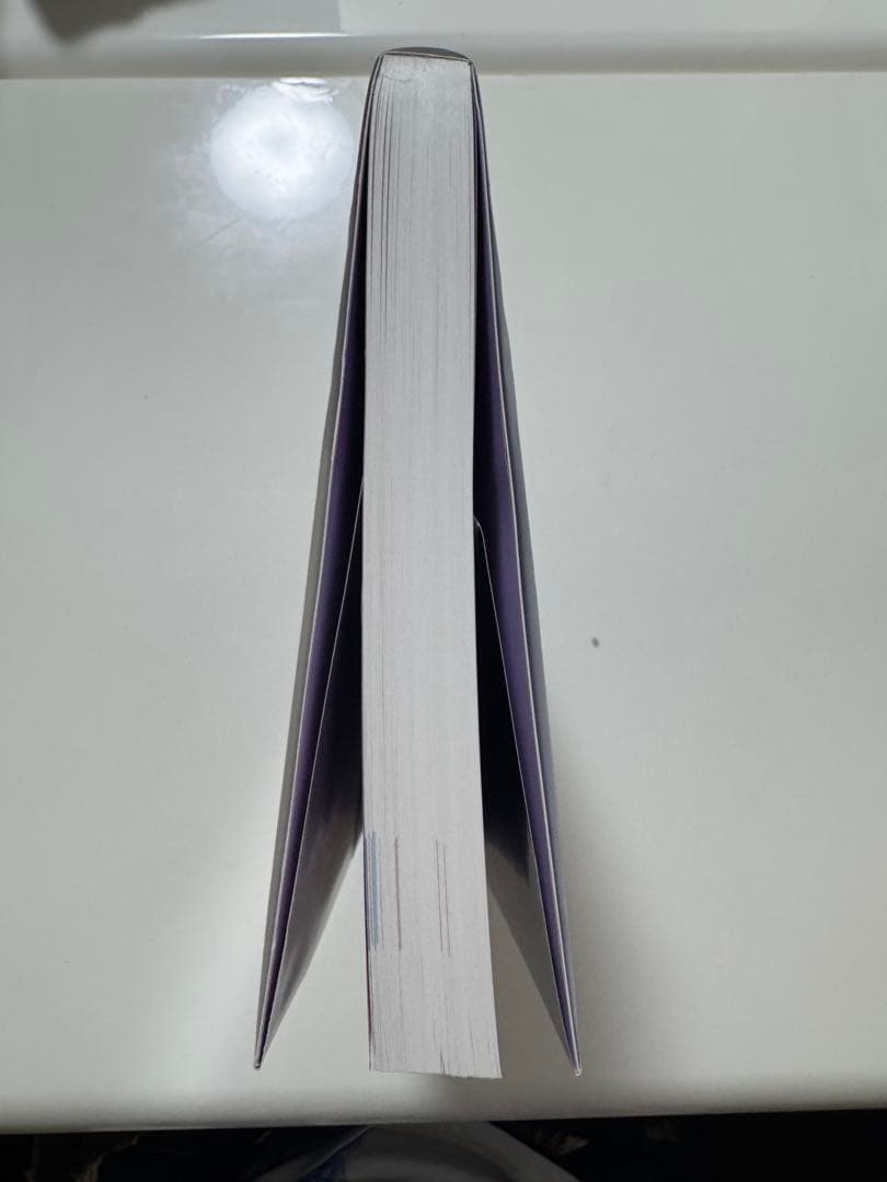 プロジェクトマネジメント知識体系ガイド PMBOK 第7版