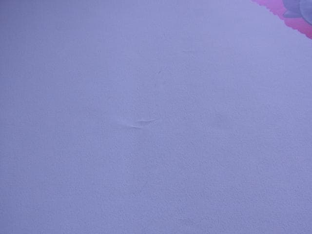 未使用品　非売品　特大ポスター　ドラゴンクエストモンスターズ1・2　プレステ