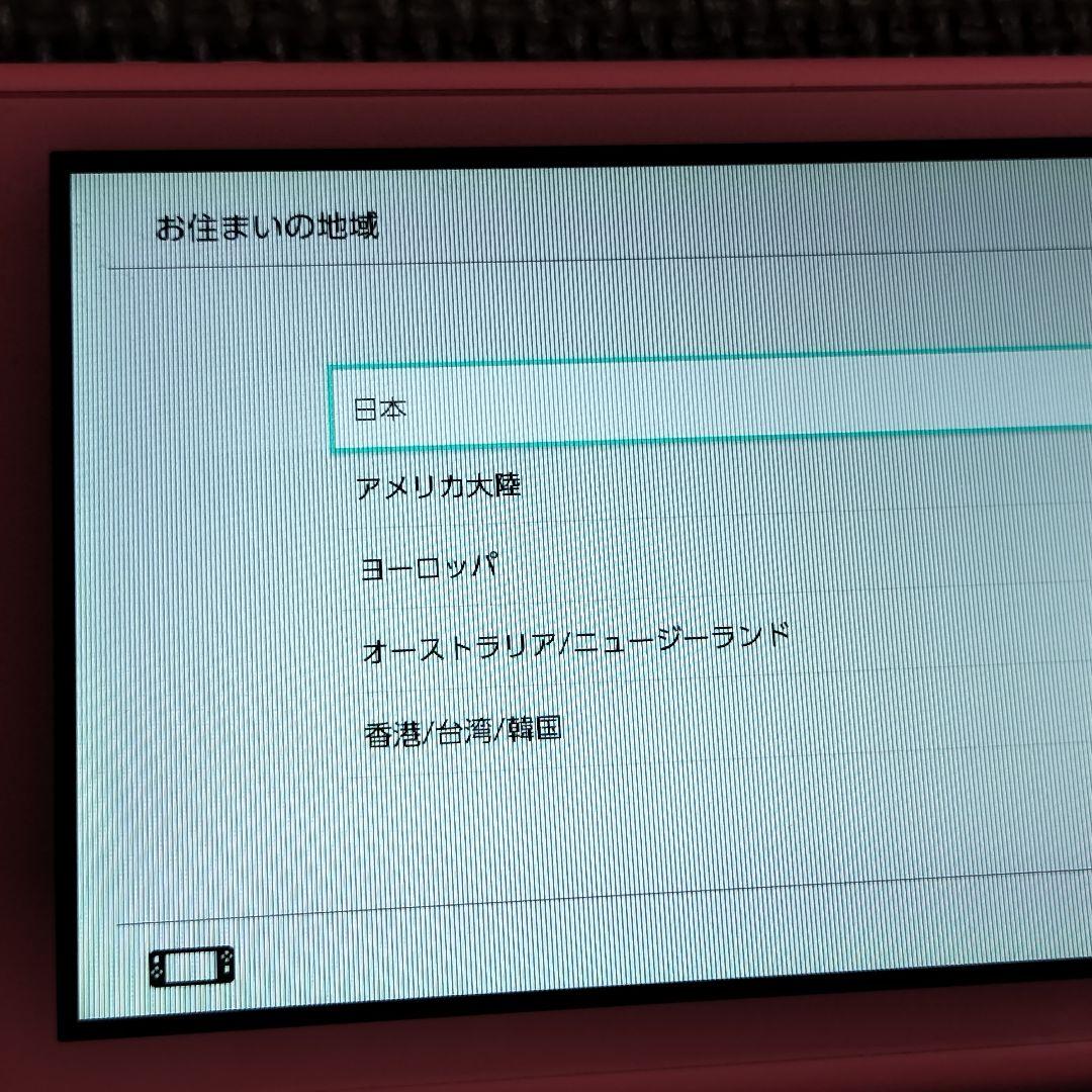 Nintendo Switch Lite 本体ジャンク