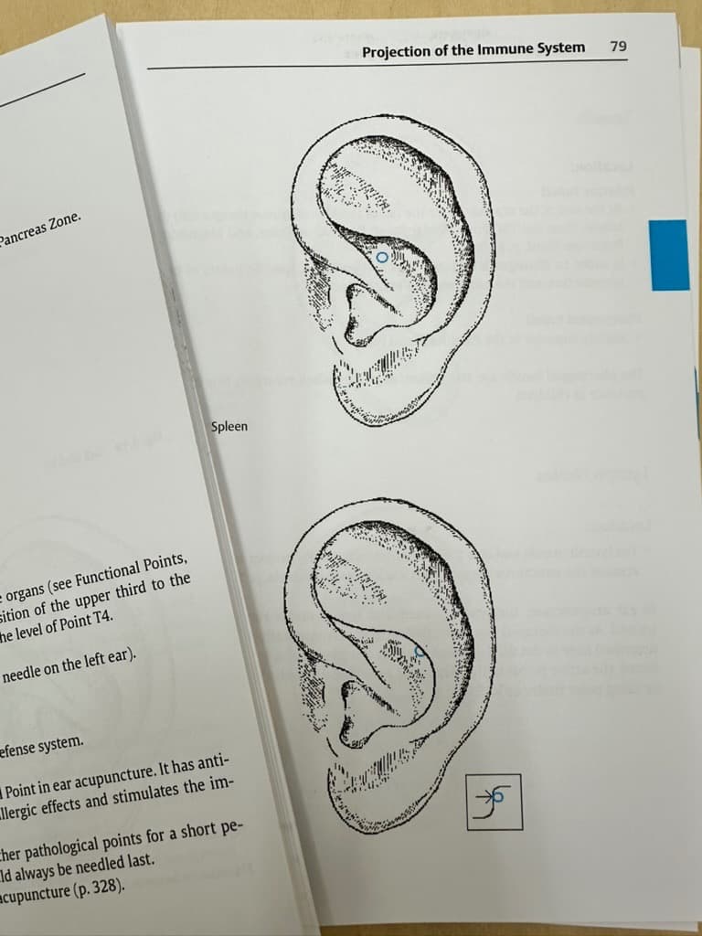耳鍼療法：ノジエ／バールの著作に基づく精密ポケットアトラス 第2版・裁断済