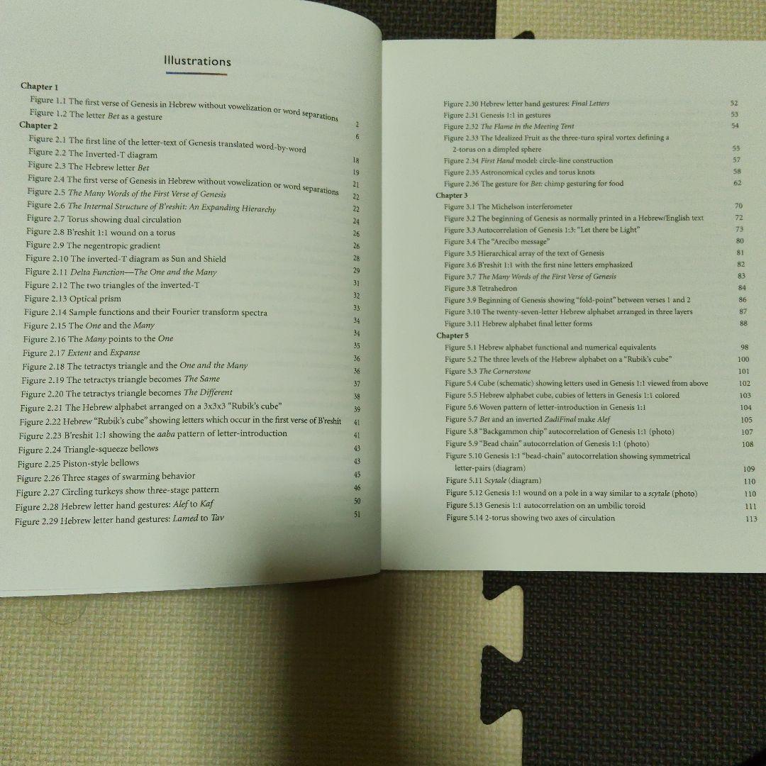 洋書 The Alphabet That Changed the World