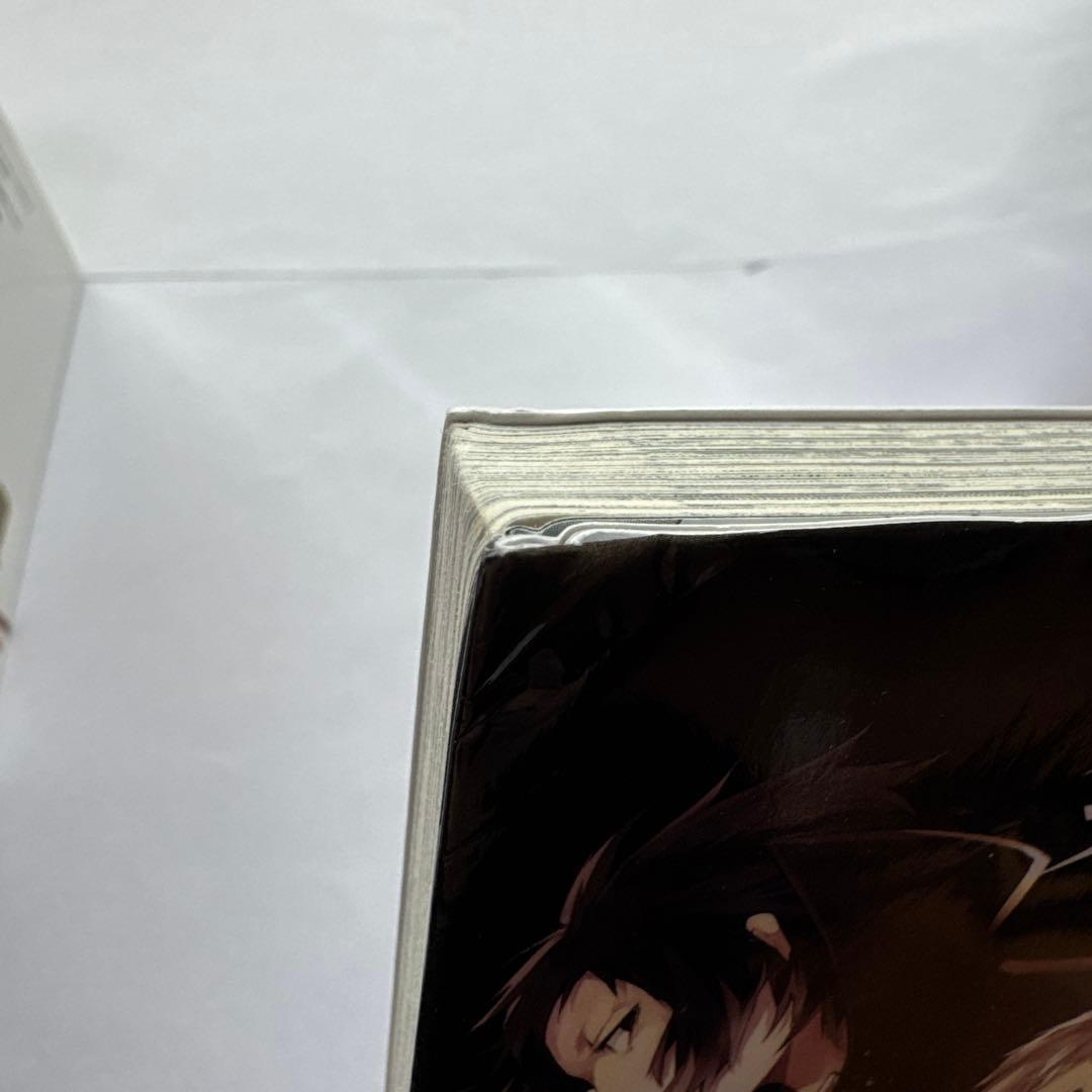 文豪ストレイドッグス 本 まとめ売り