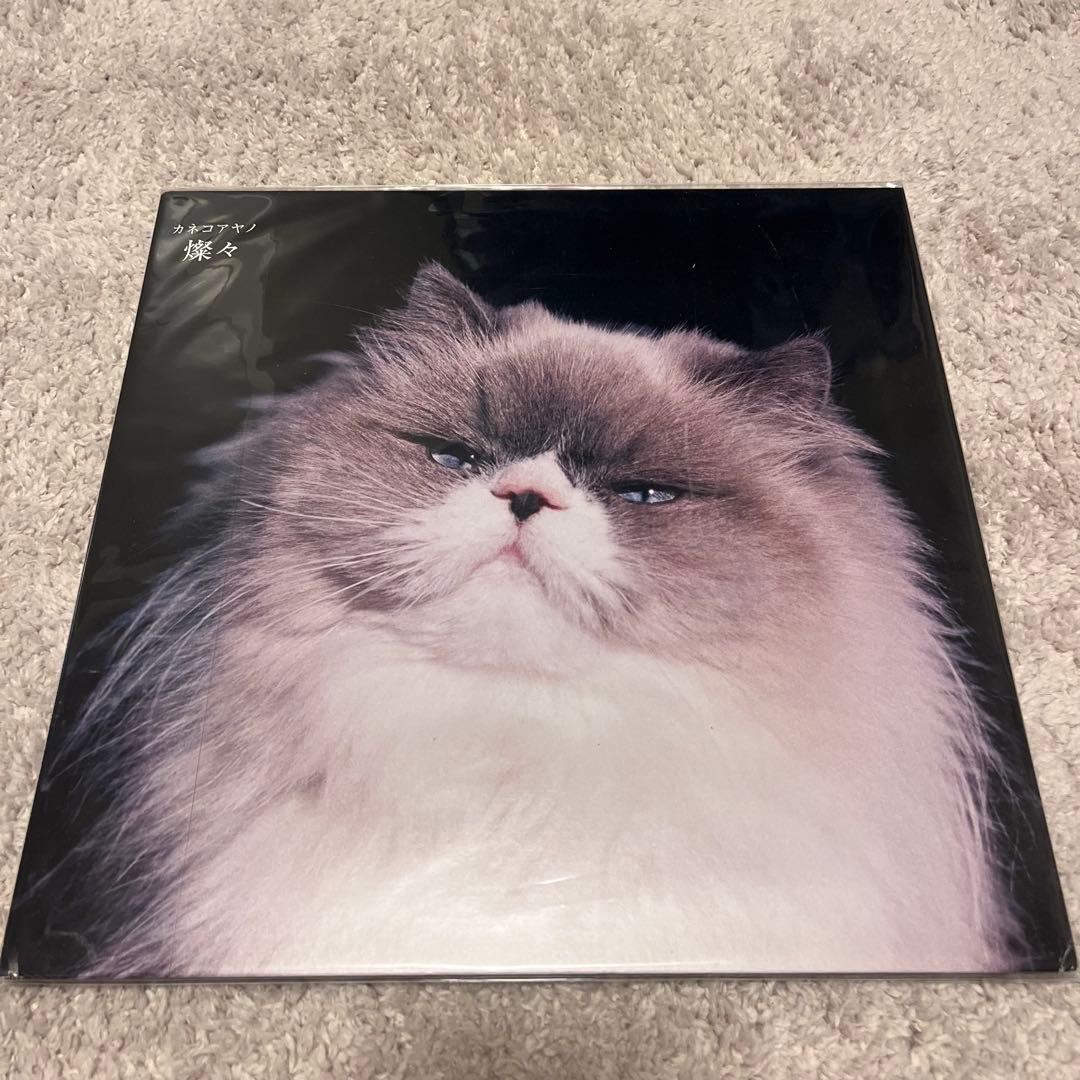 r*i様 カネコアヤノ　祝祭　燦々　レコード　LP セット