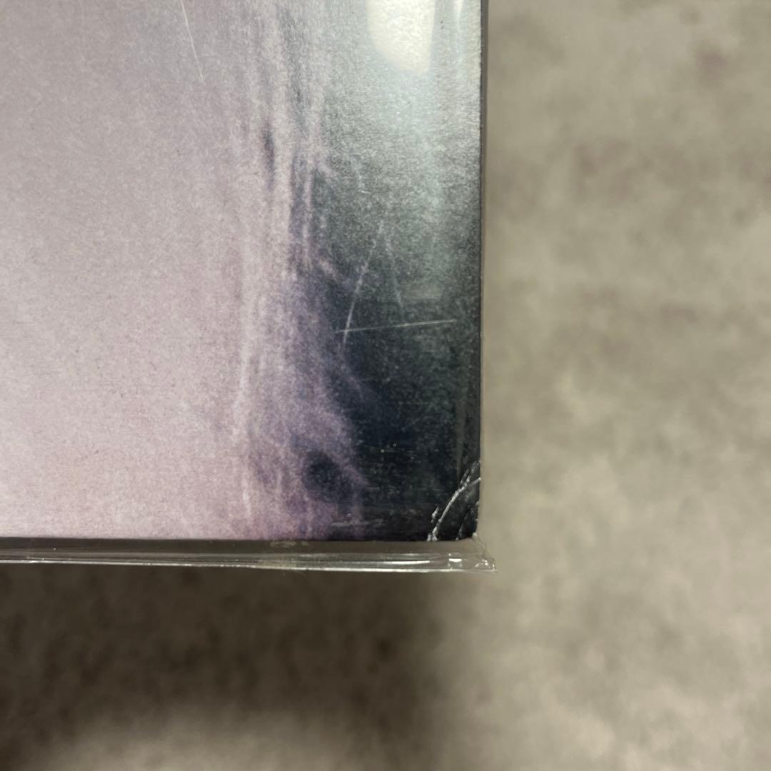 r*i様 カネコアヤノ　祝祭　燦々　レコード　LP セット