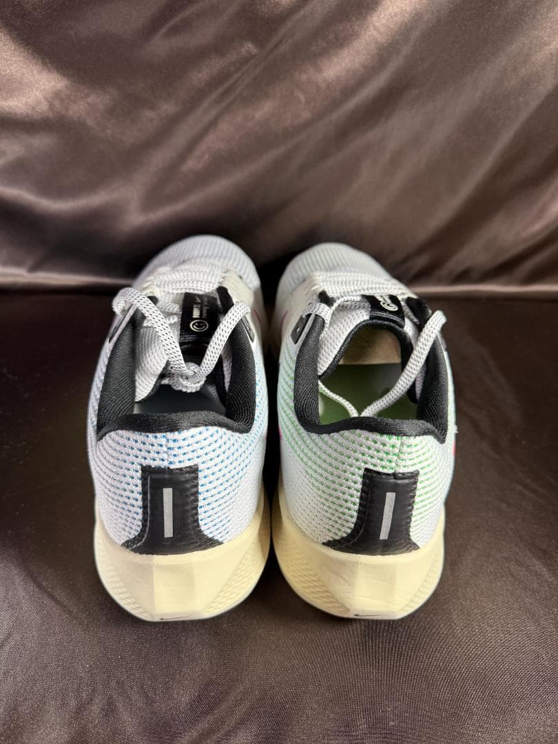 ナイキ ペガサス40 SE　FJ1051-100 29.0cm