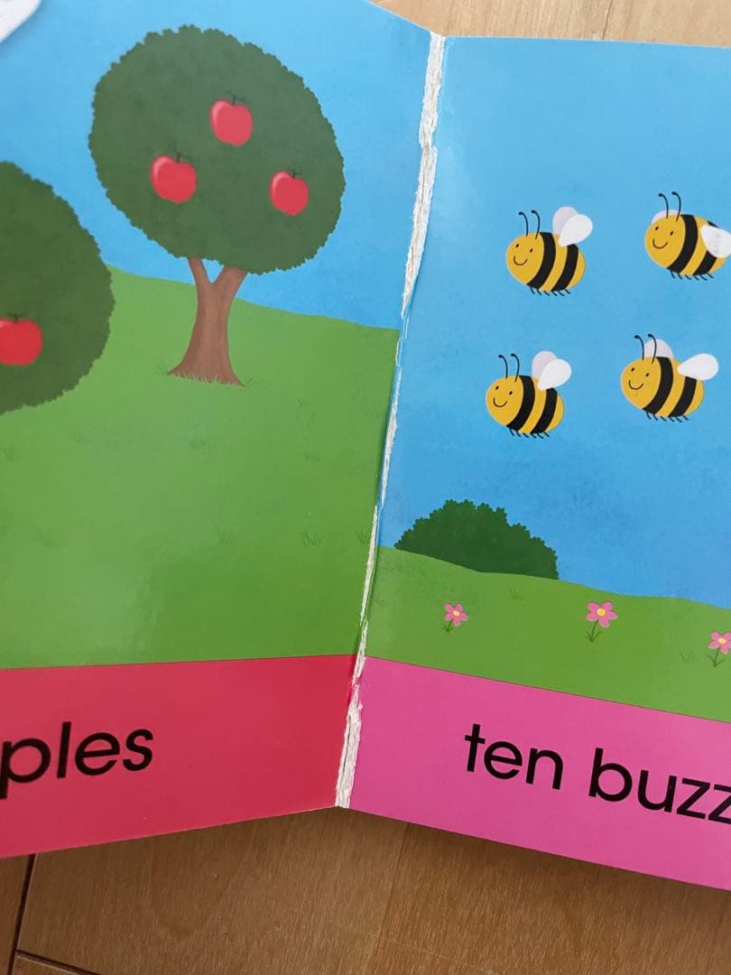 DWE Play Along! DVD CD 絵本セット歌詞入りガイドブック