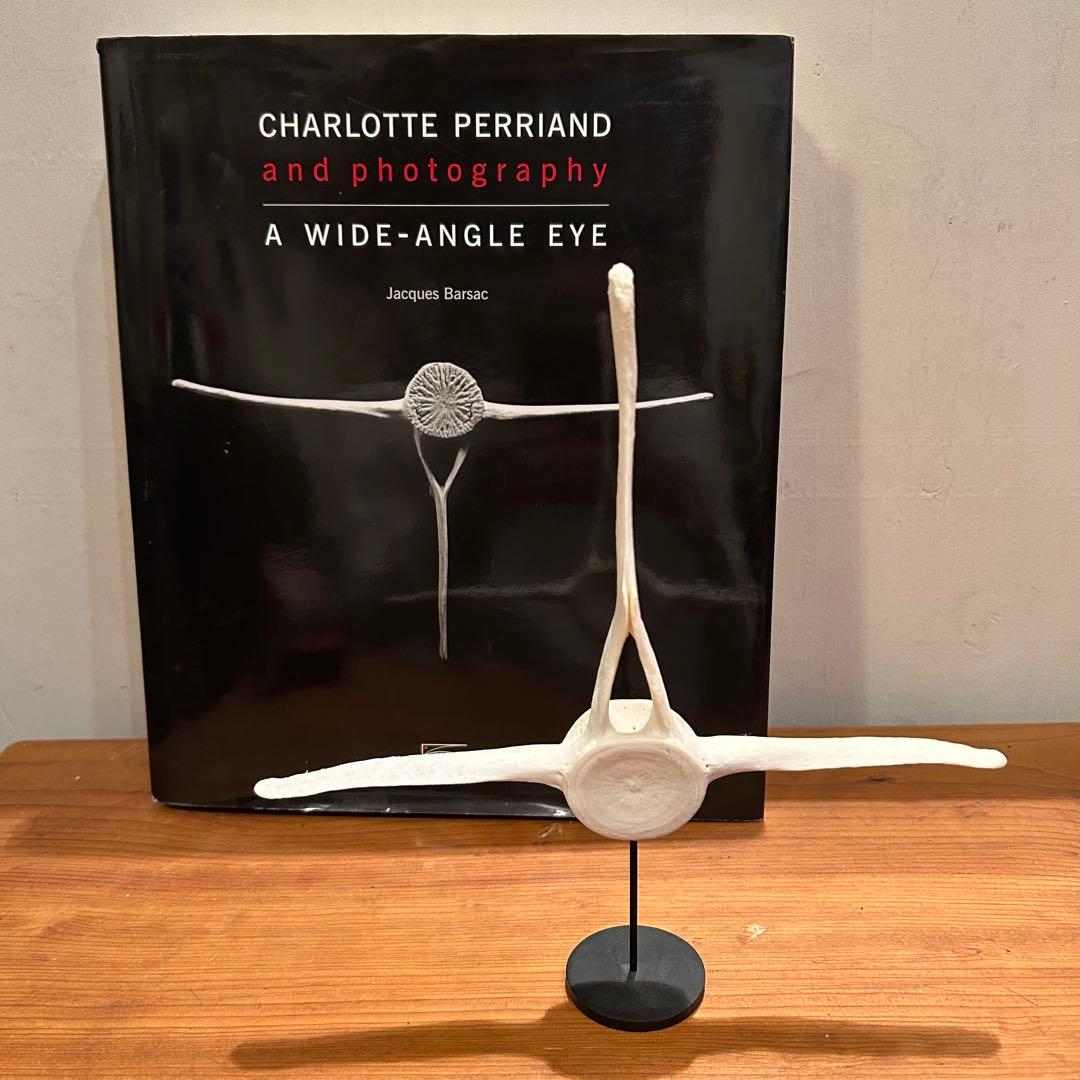 クジラ　イルカ　骨　背骨　鯨　海豚　⑥