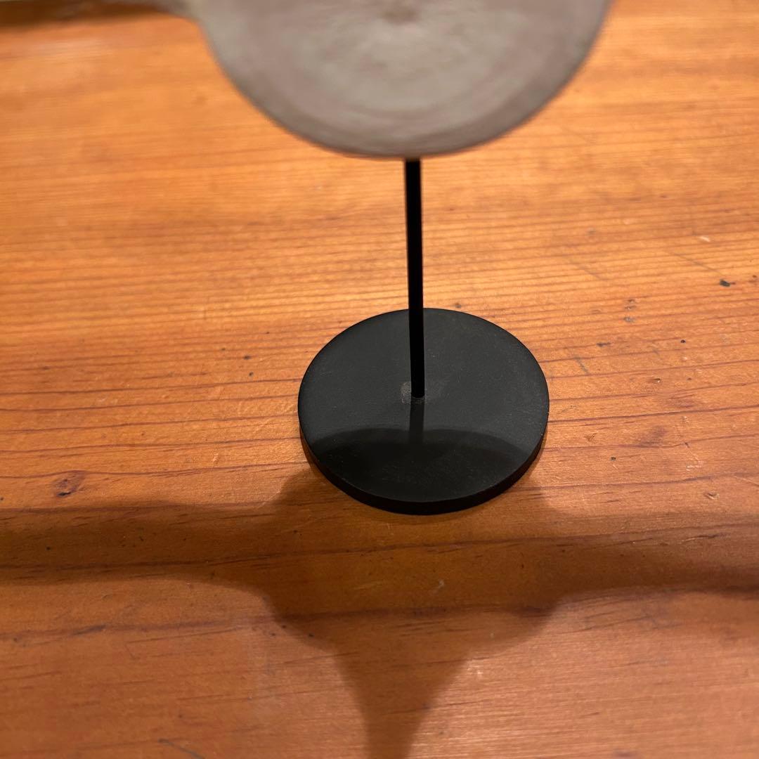 クジラ　イルカ　骨　背骨　鯨　海豚　⑥