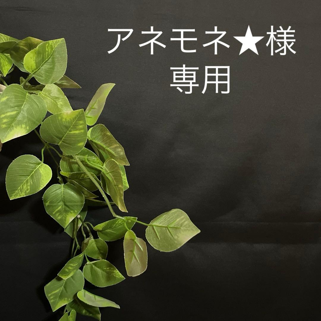 アネモネ★様　コーデュロイ　割烹着