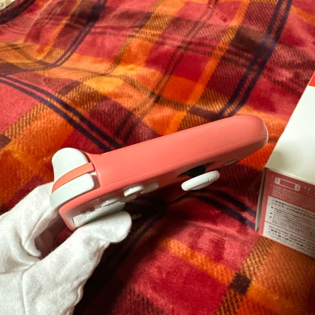 Nintendo Switch Lite　専用ケース付き