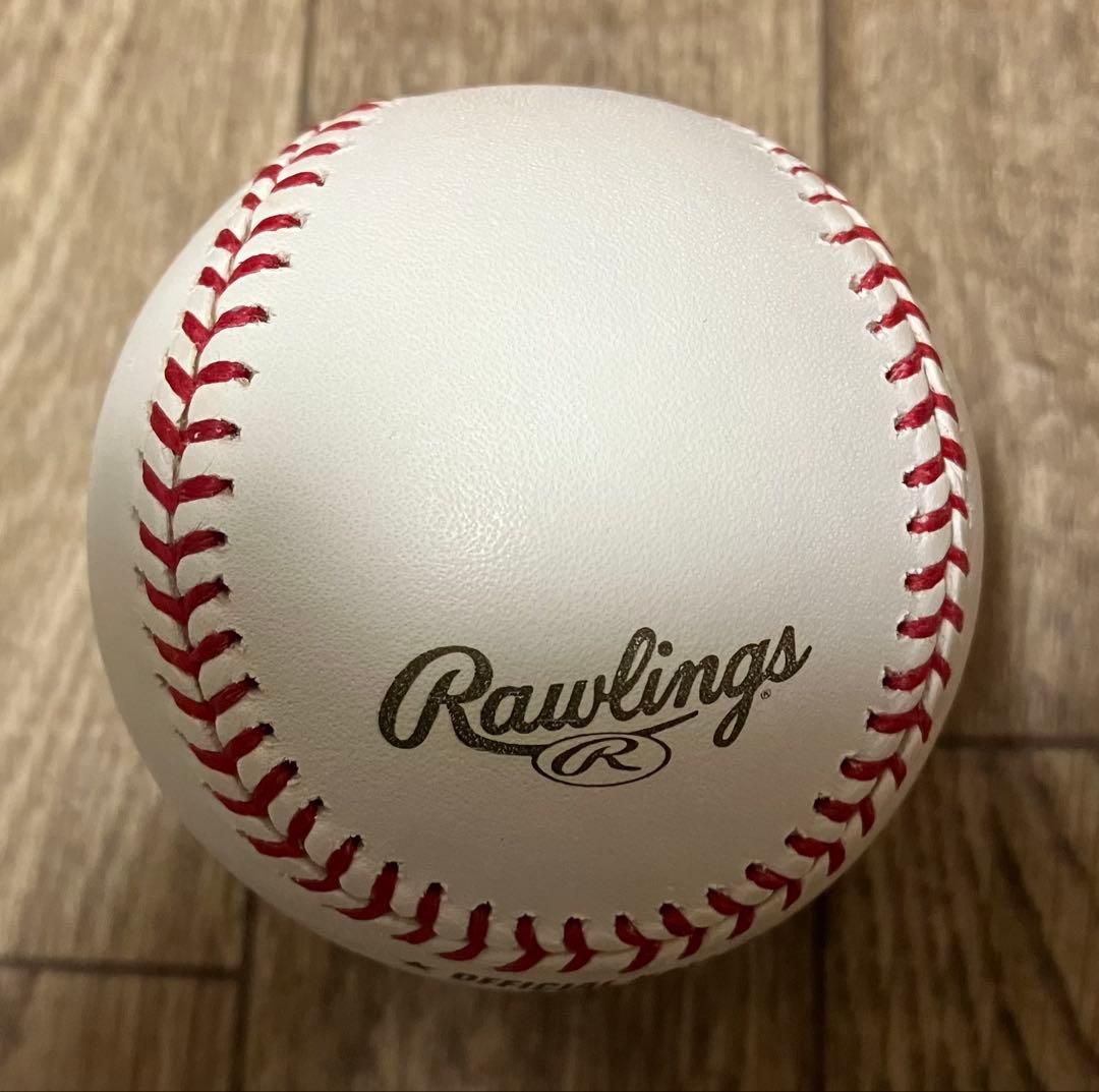 岩隈久志直筆サイン入り2009年 WBC公式ボール 証明書、写真、ケース付き