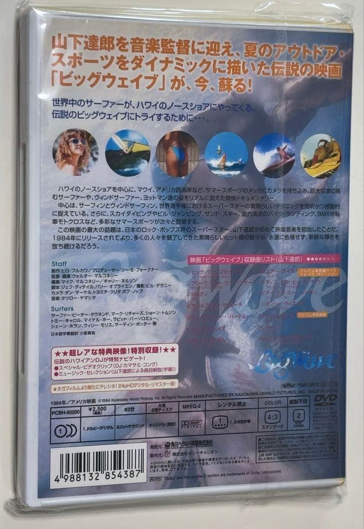 山下達郎DVD BIG WAVE('84米)ビッグウェーブ