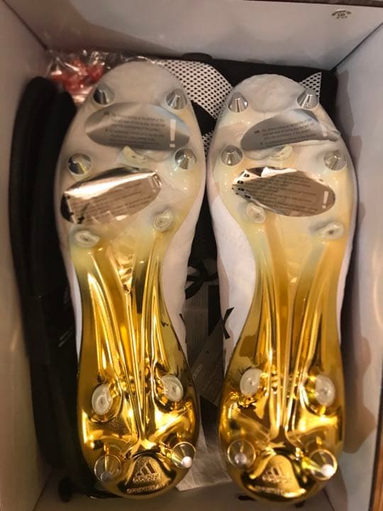 X16+SGピュアカオス