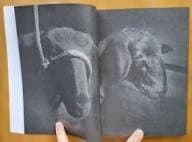 【Alec Soth：Sheep】800部限定　★新品・未読品・美本