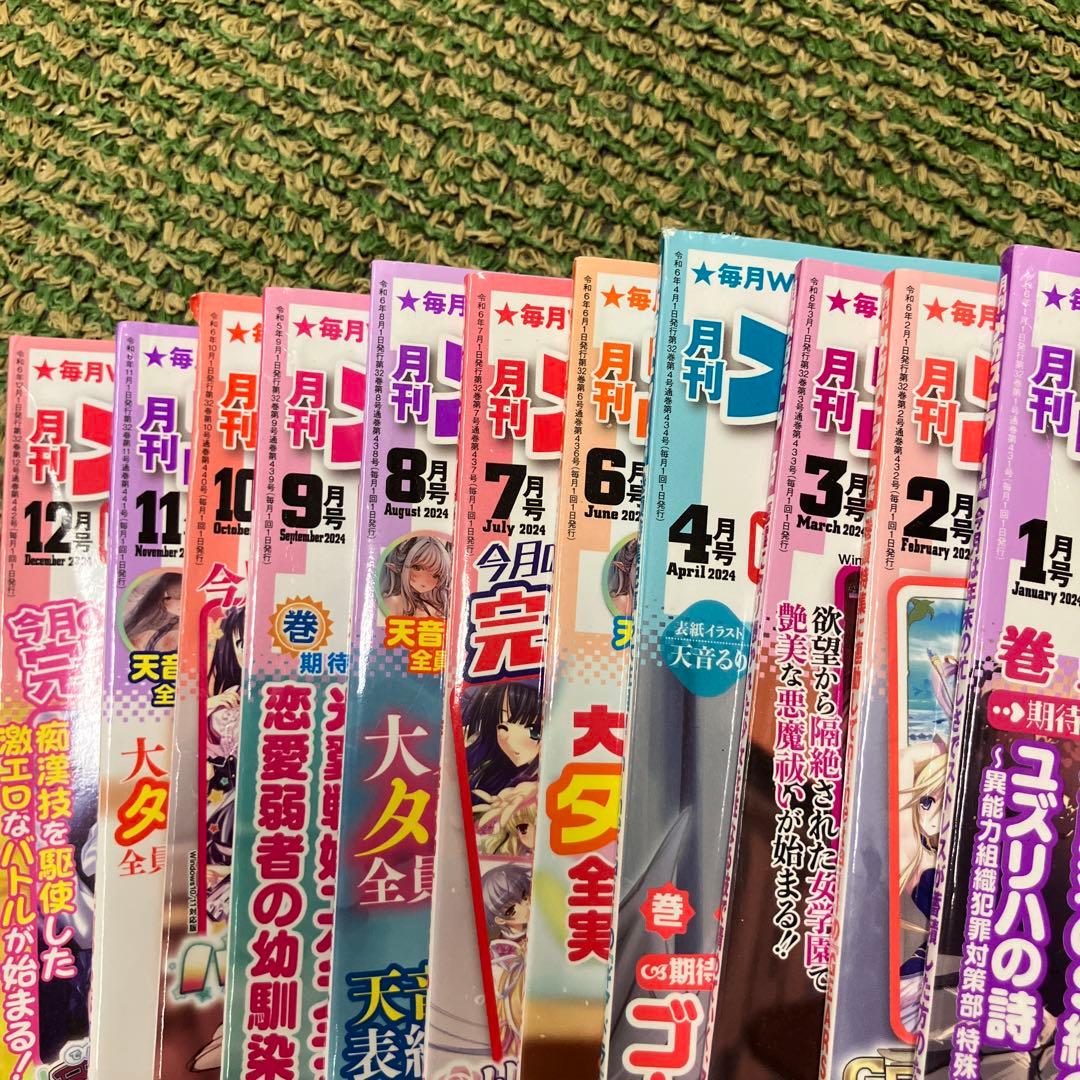 メガストア雑誌30冊セット　コアマガジン