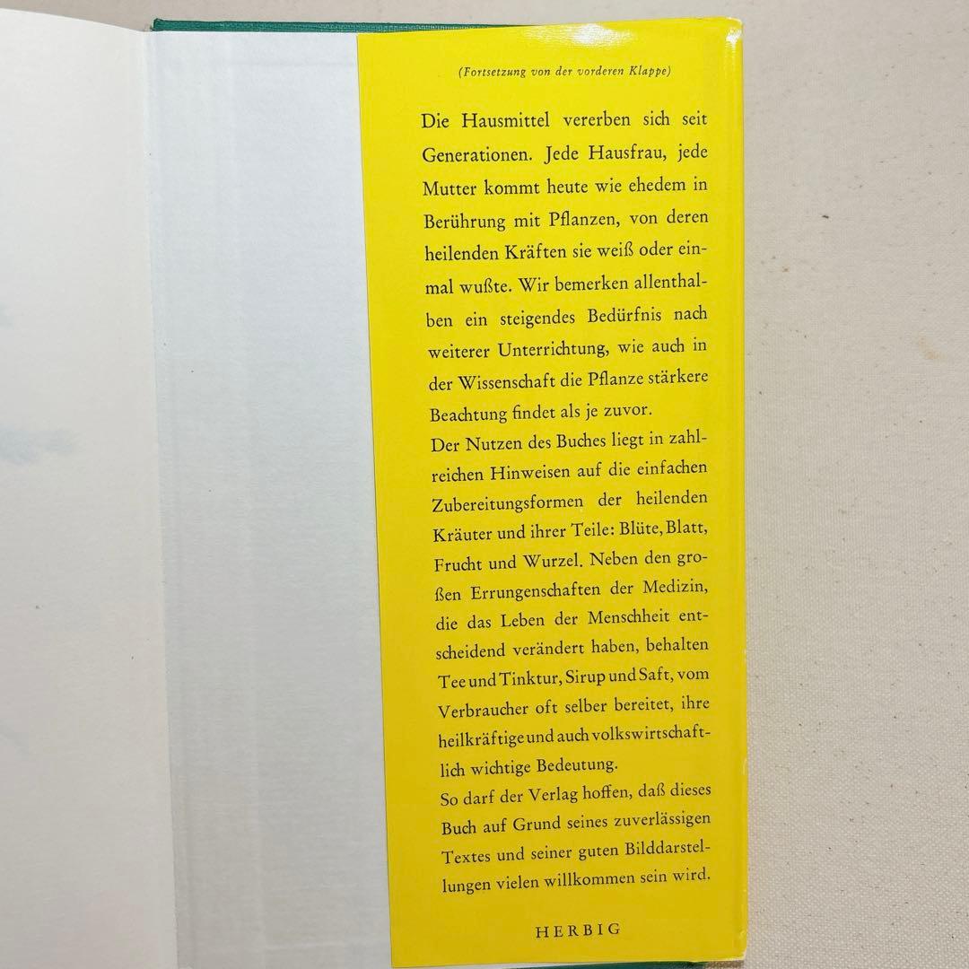 美しい植物画 ドイツ 洋書 図鑑 1963 Elsa Flesko Blumen