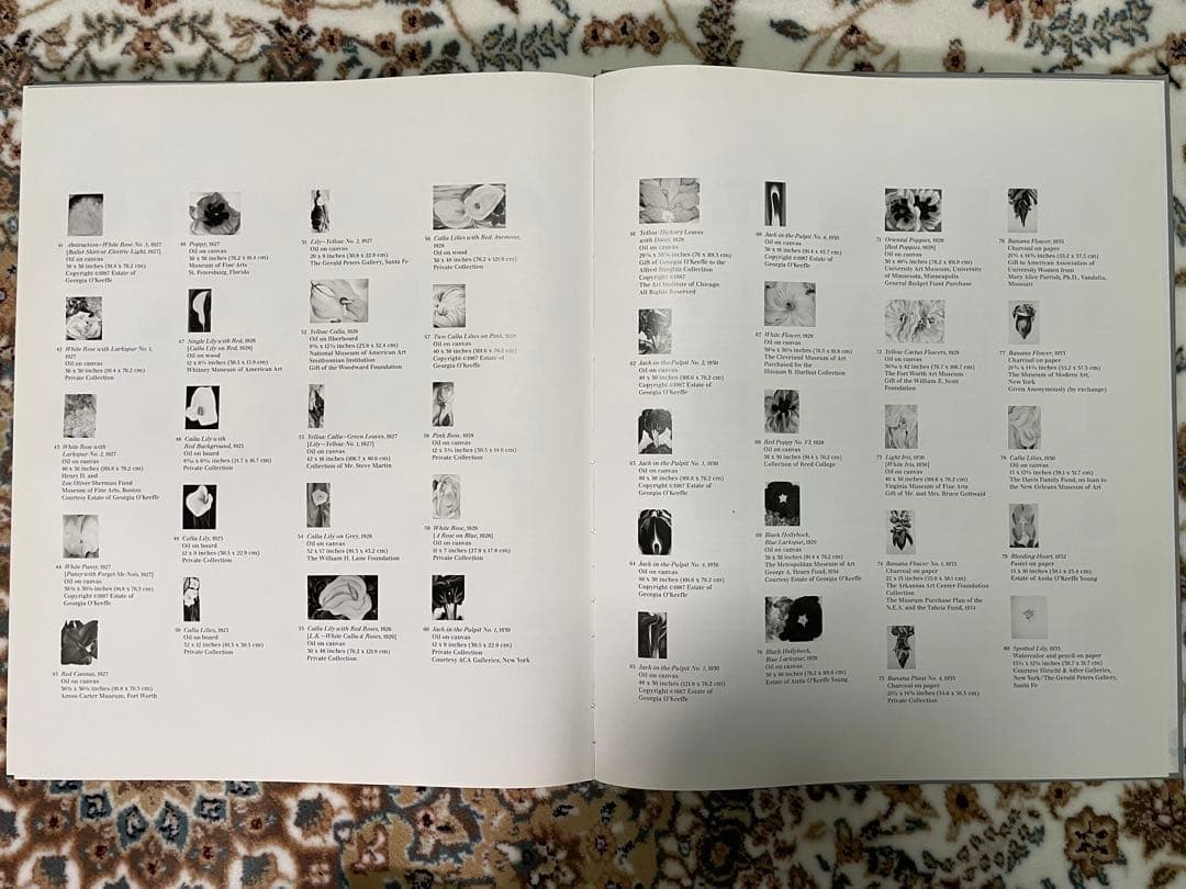 アート・デザイン・音楽 ia O' Keeffe One Hundred Flowers