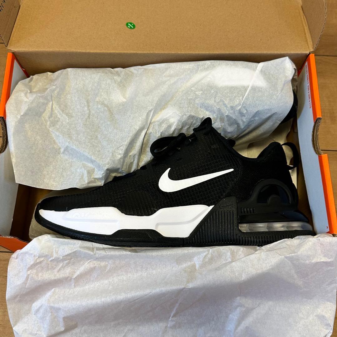 ウエイトトレーニング NIKE AIR MAX ALPHA TRAINER 5