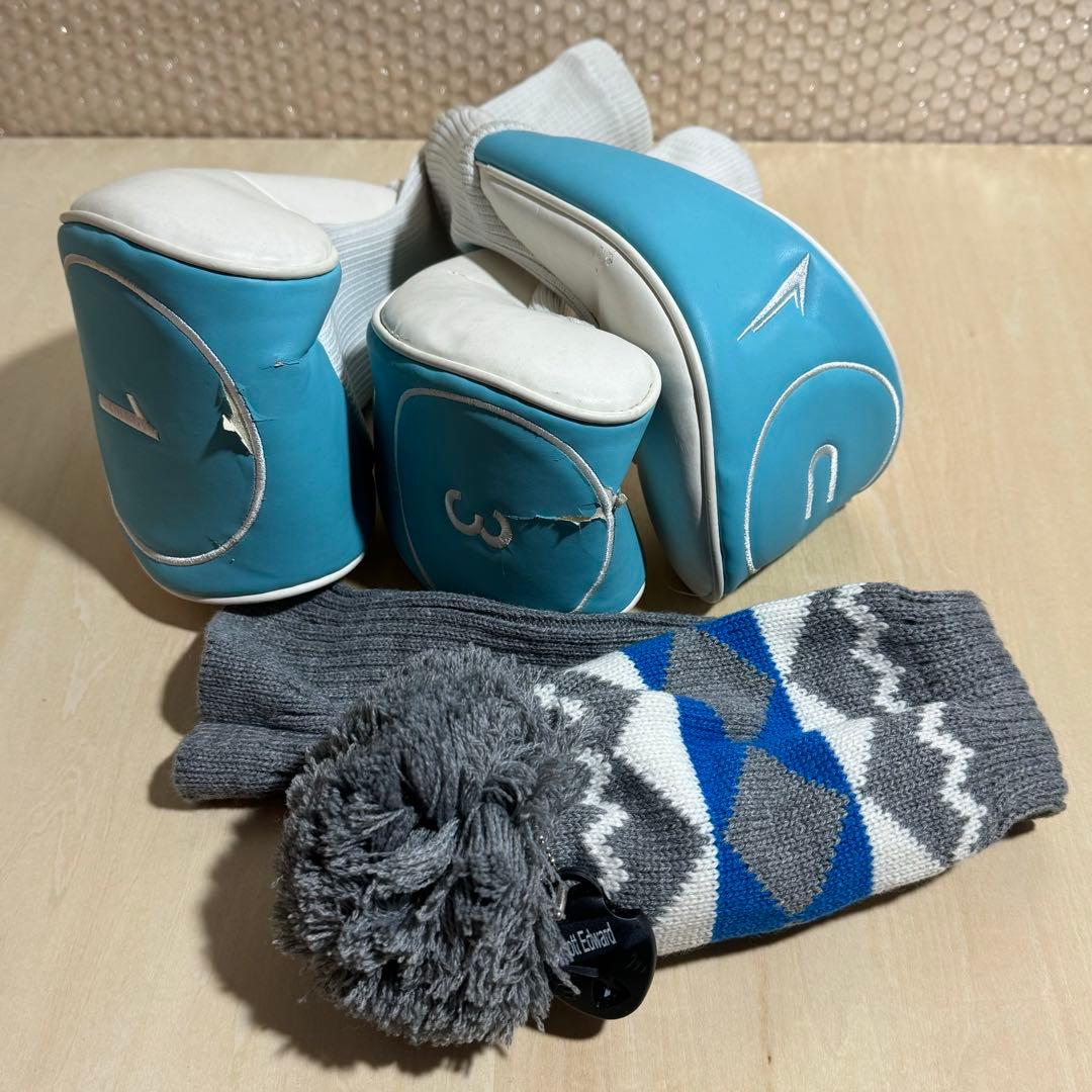 美品ワールドイーグルWORLD EAGLEレディース WE-G510ゴルフ11本