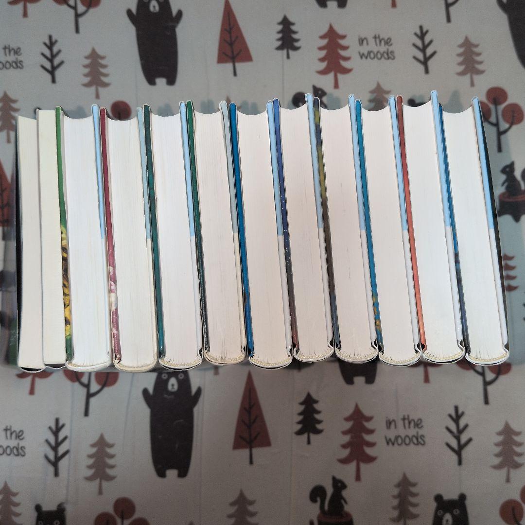 少年探偵団 全12巻 江戸川乱歩　分売可能　相談下さい　ポプラ社　名探偵　美品