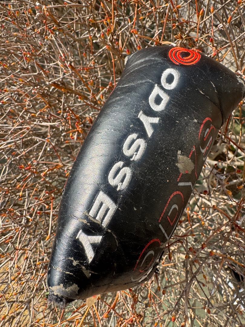 プロ支給品ODYSSEY WHITE ICE ix #5 CH 355g